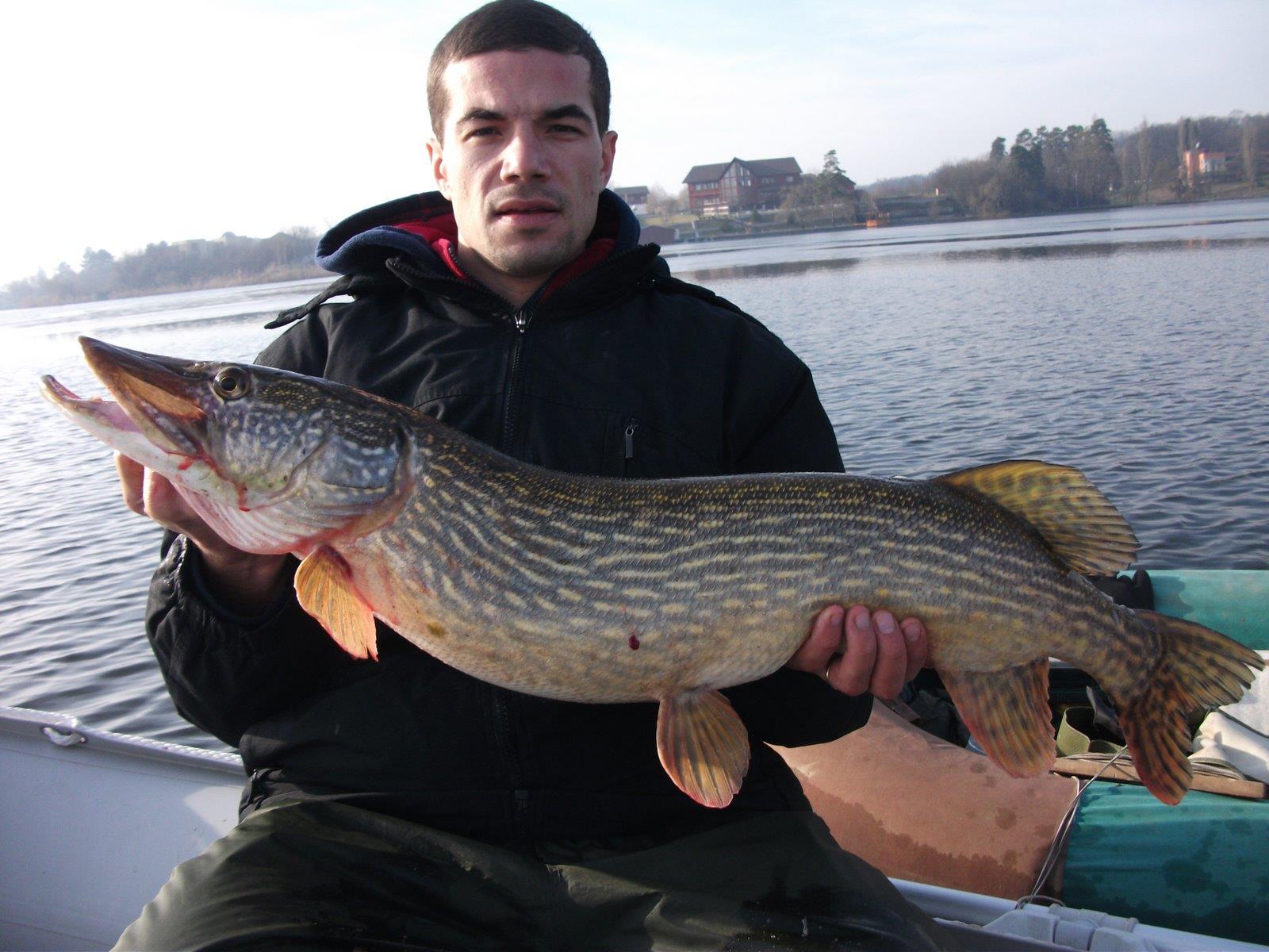 capturi - 7 kg, eliberate fara discutii